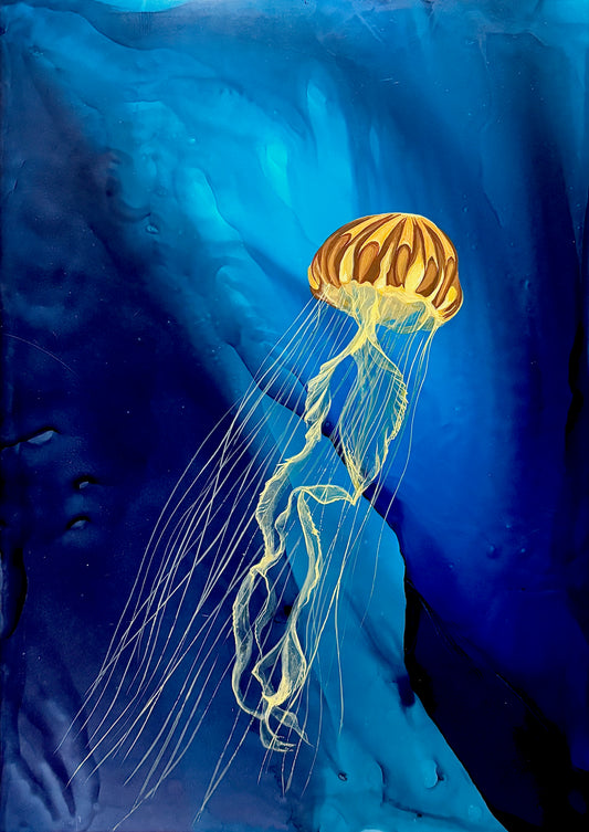 Pacific Sea Nettle [print]