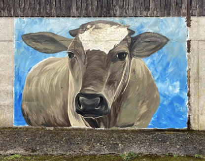 Irish Cow Mural, 2022, Dunmanway, Ireland