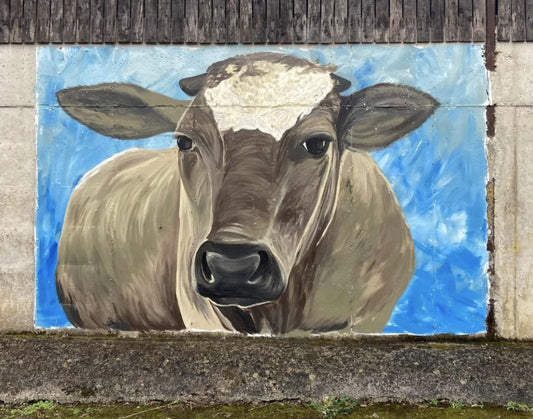 Irish Cow Mural, 2022, Dunmanway, Ireland