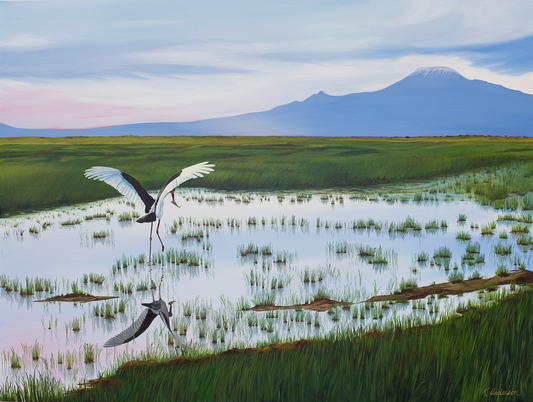 Daybreak at Amboseli [print]